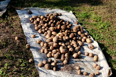 Similar image 21895039