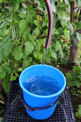 Similar image 21895041