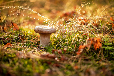 Similar image 21909785