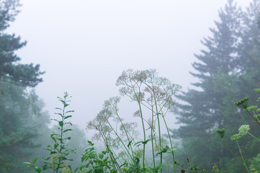 Similar image 21895044