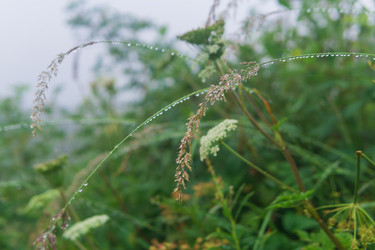 Similar image 21895045