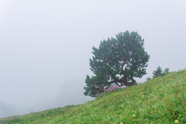 Similar image 21895046