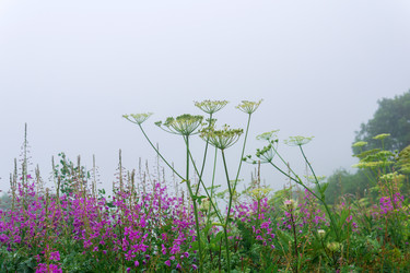 Similar image 21895047