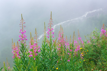 Similar image 21895048