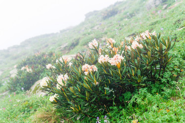 Similar image 21895052