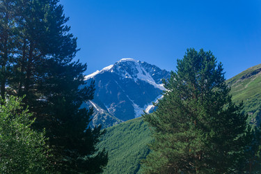 Similar image 21895057