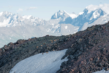 Similar image 21895081