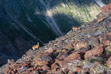 Similar image 21895082