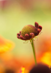 Similar image 21896321