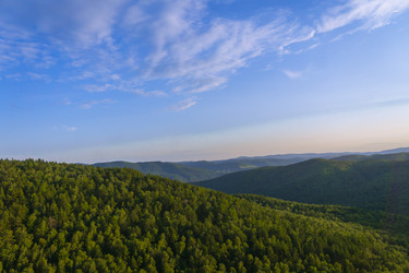 Similar image 21898443