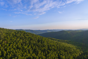 Similar image 21898477