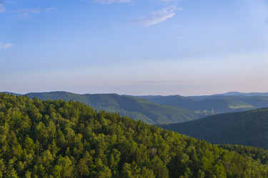 Similar image 21898487