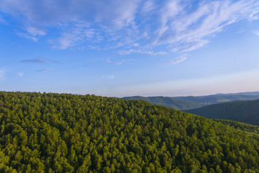 Similar image 21898541