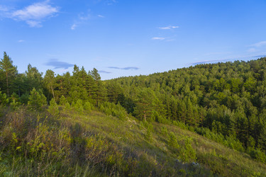 Similar image 21898543