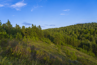 Similar image 21898544