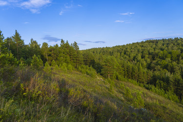 Similar image 21898545