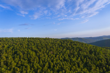 Similar image 21898563