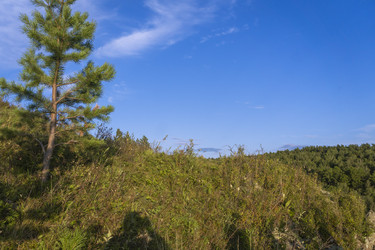 Similar image 21898566