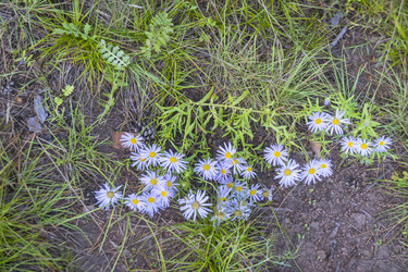 Similar image 21898569