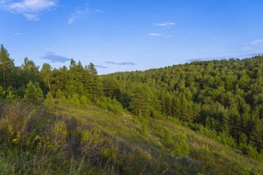 Similar image 21895201