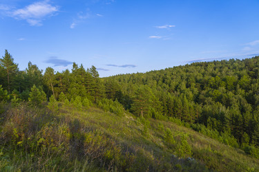 Similar image 21895202