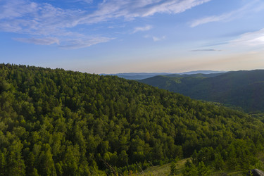 Similar image 21895206