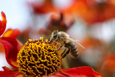 Similar image 21896323