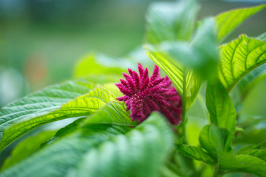 Similar image 21896328