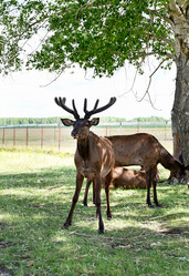 Similar image 21895686