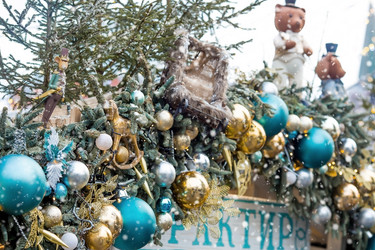 Similar image 21902510