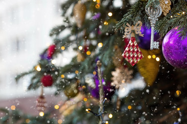 Similar image 21902512