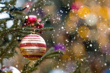 Similar image 21902514