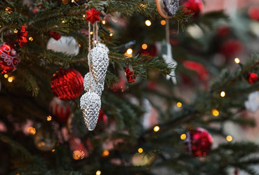 Similar image 21902518