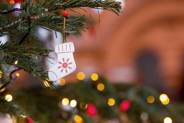 Similar image 21902735