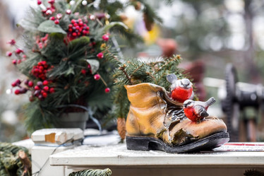 Similar image 21902744