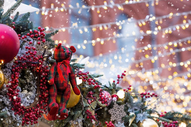 Similar image 21902747