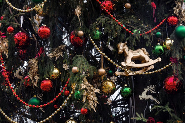 Similar image 21902750