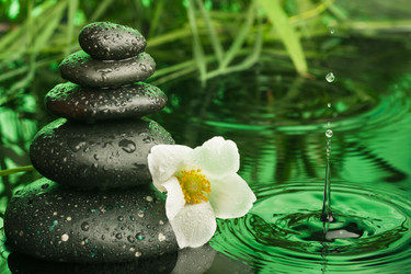 Similar image 21902529