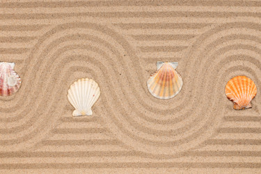 Similar image 21900398