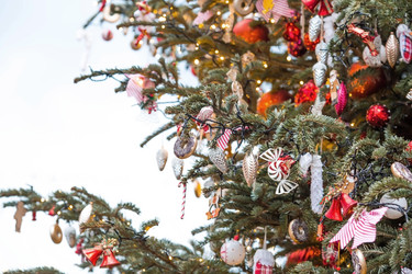 Similar image 21902069