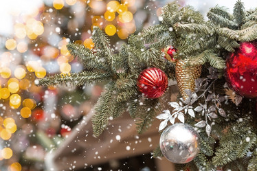 Similar image 21902071