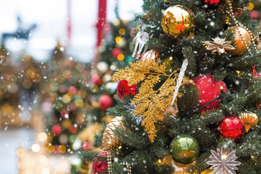 Similar image 21902073