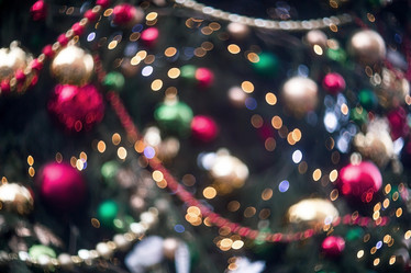 Similar image 21902076