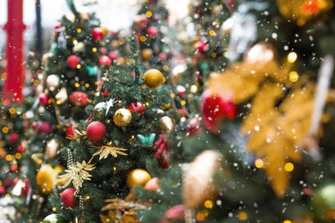 Similar image 21902079