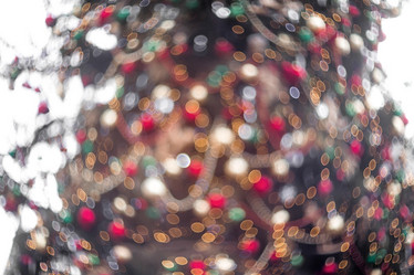 Similar image 21902082