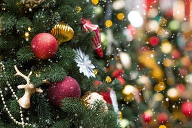 Similar image 21902083