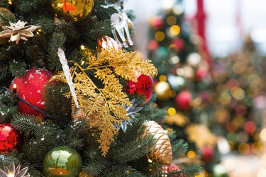 Similar image 21902087