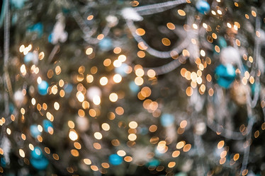 Similar image 21902088