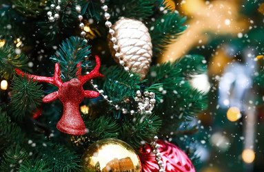 Similar image 21902090