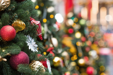 Similar image 21902091